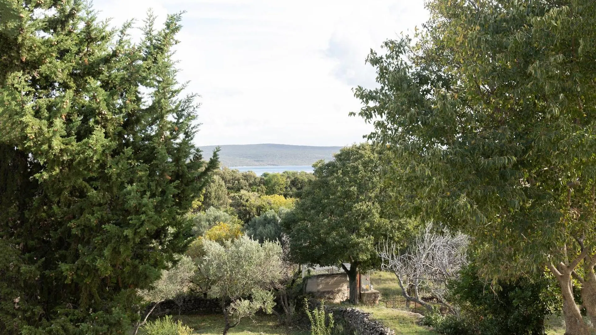 Holiday home Villa Floresco Nerezine